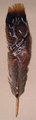 _red_stag_feather_painting_by_novawuff.jpg