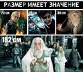 fe4d4510666cf1456d13d21703a8411fd4385588_1.jpg